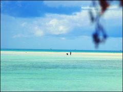 独り占めの海