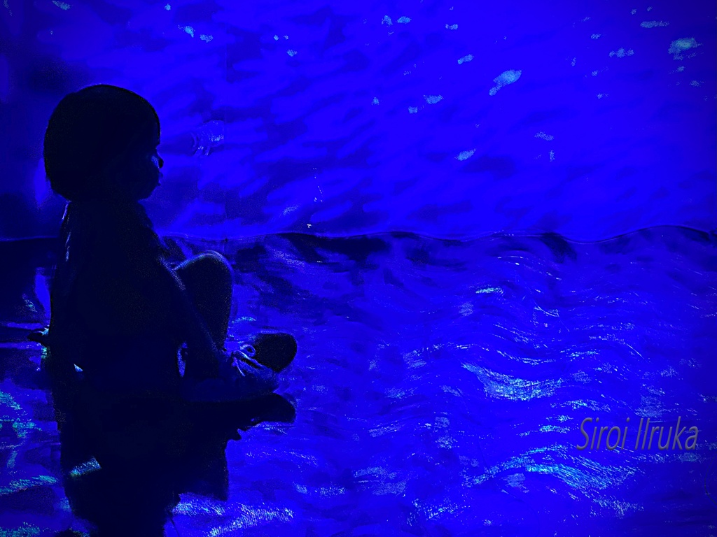 海の世界