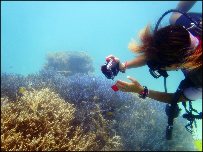 スキューバーダイビング　⑤