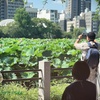 撮影日和