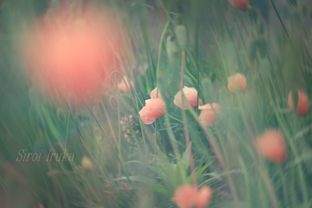 uneasiness