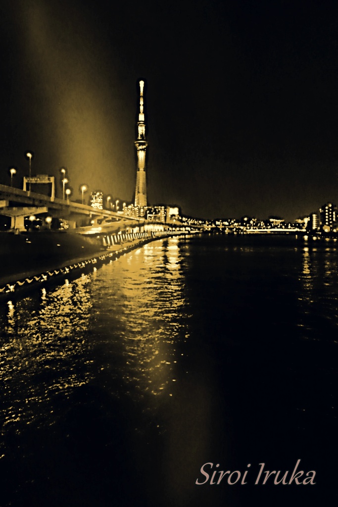 Gold Night