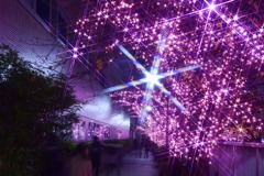 Ｐurple色の宝石箱