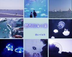葛西臨海公園