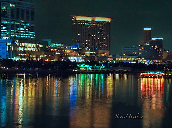 rainbow　night