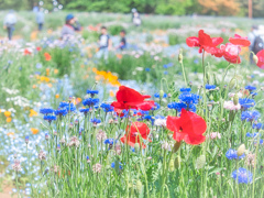 貴方と過ごす幸せ