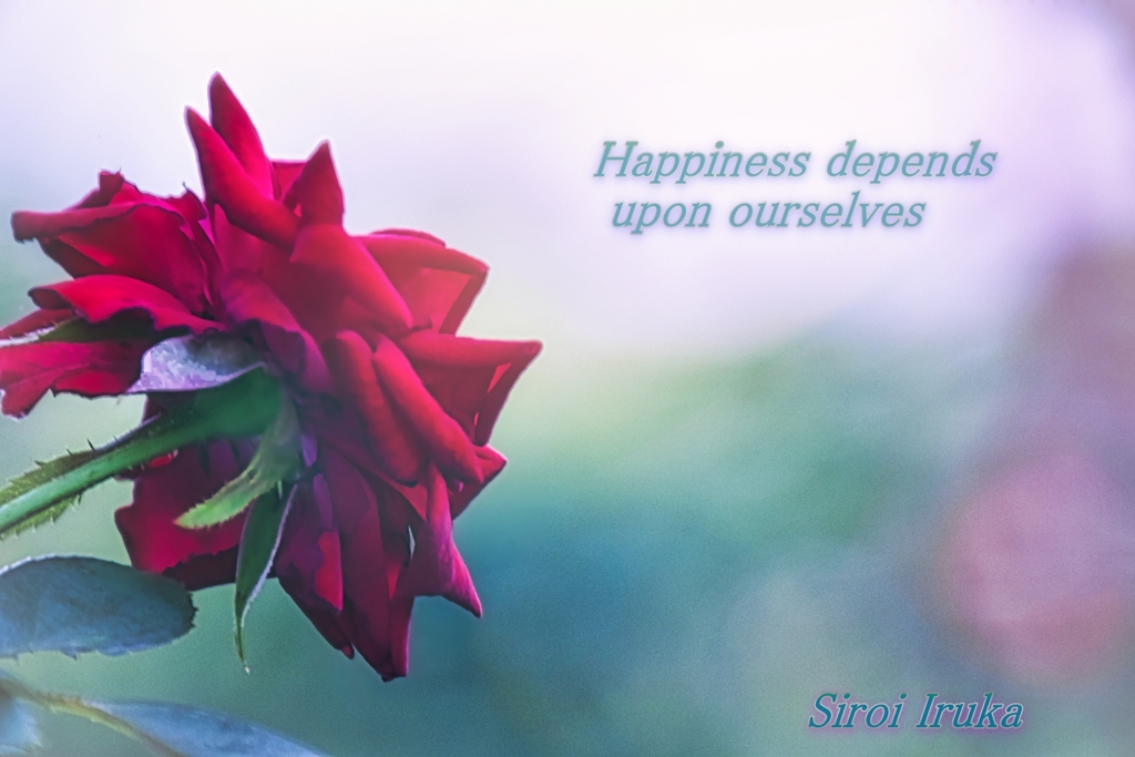 Happiness