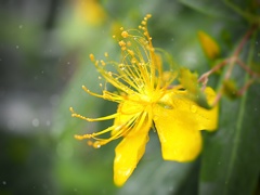 分かって
