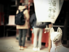 参拝