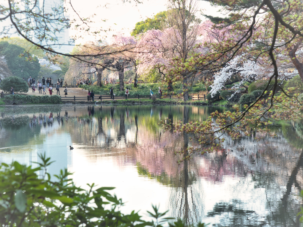 長閑な風景