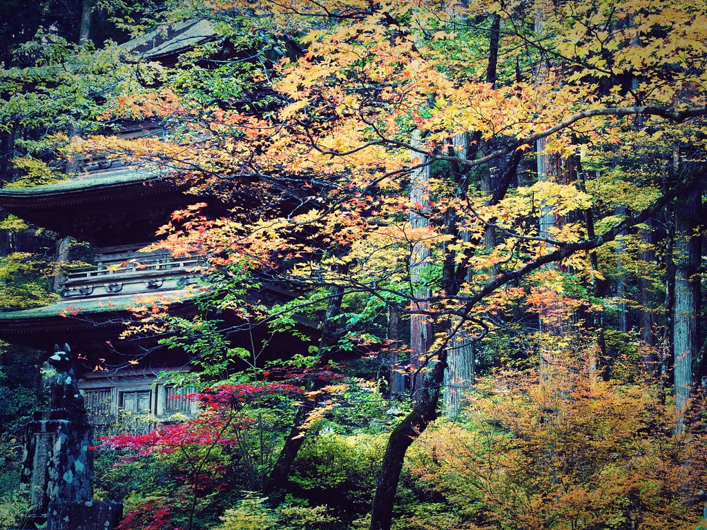静寂
