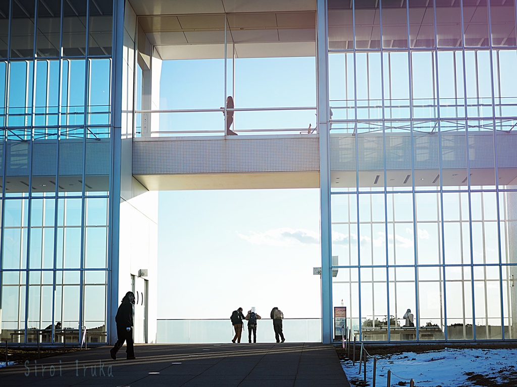 雪残る葛西臨海公園