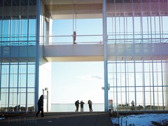 雪残る葛西臨海公園