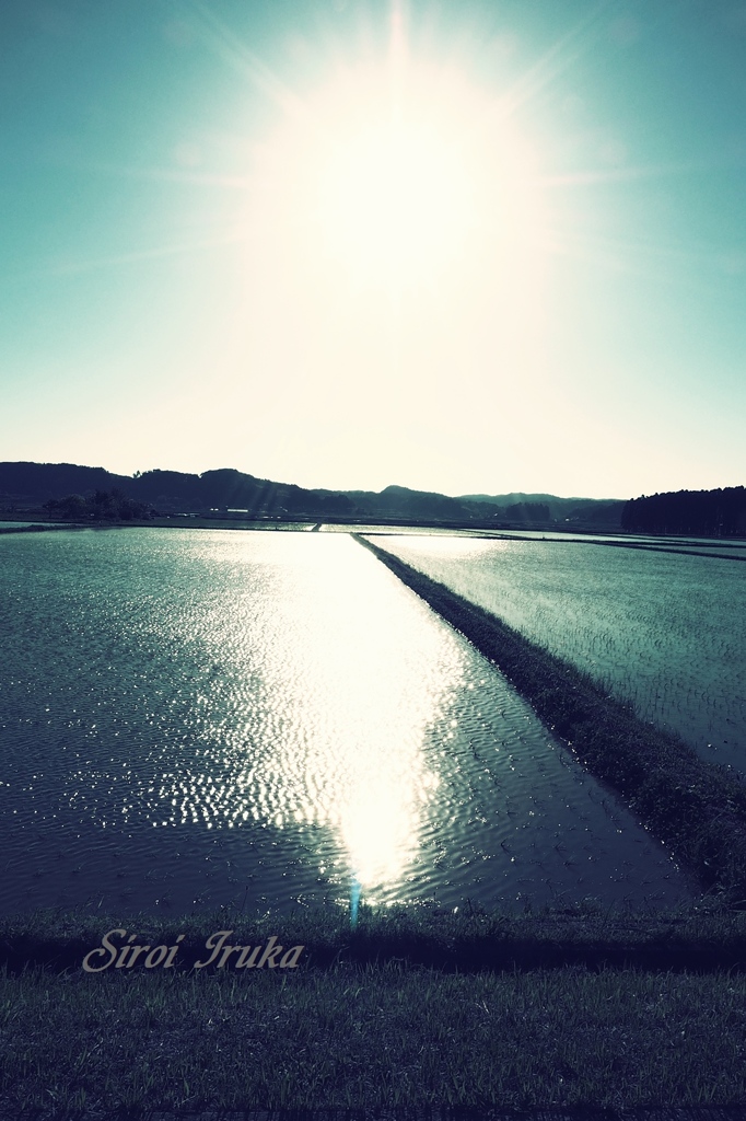 静寂