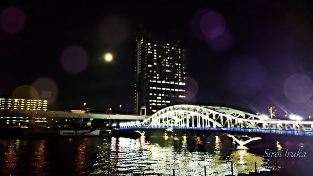 月と橋とビル