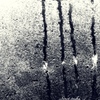 窓