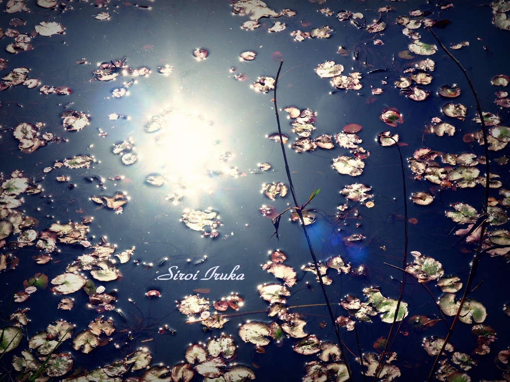 水温む