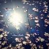 水温む