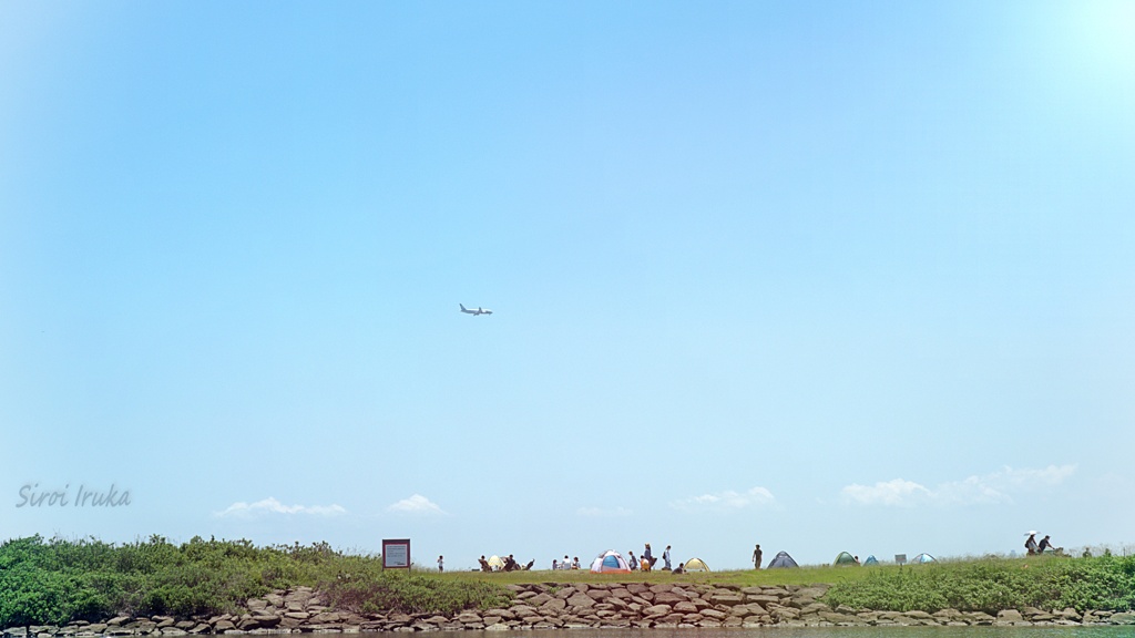 青い空