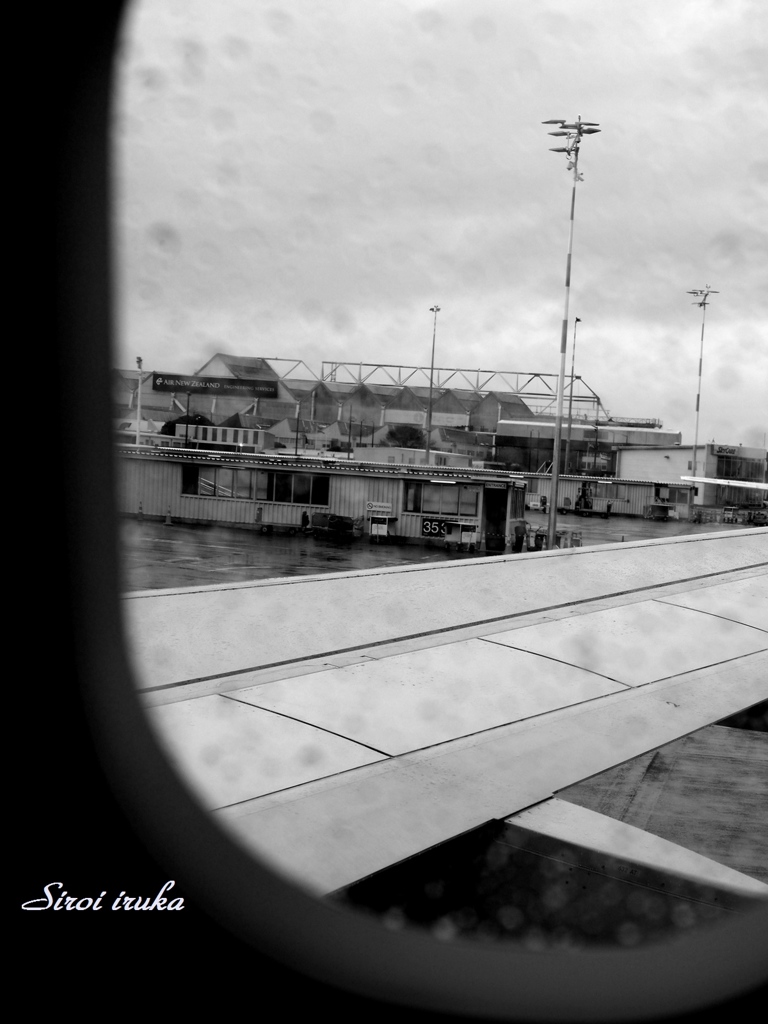雨のLANDING