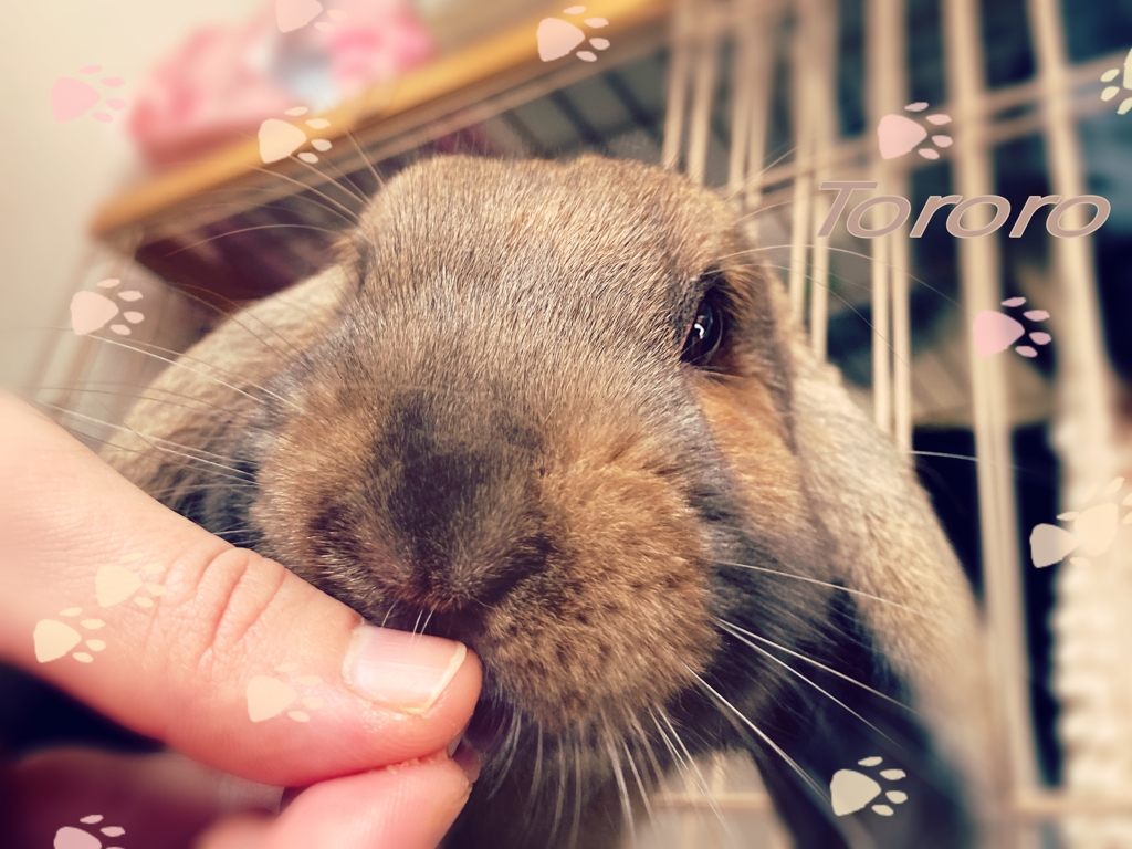 おいしい(≧ڡ≦*)