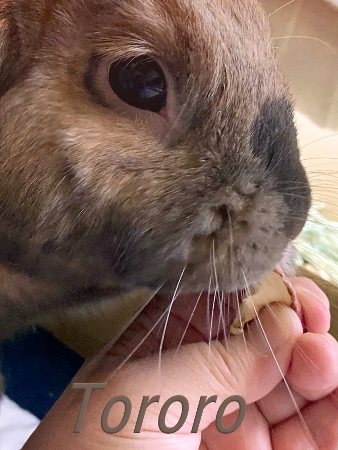 うんまぁ　うんまぁ　((美^～^味))ﾓｸﾞﾓｸﾞ♪︎
