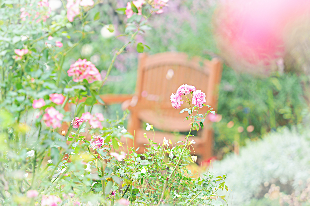 秘密の花園