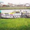 釣り船