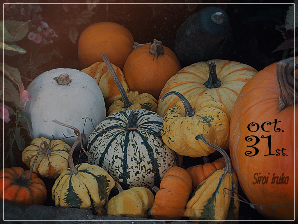 Various　pumpkins