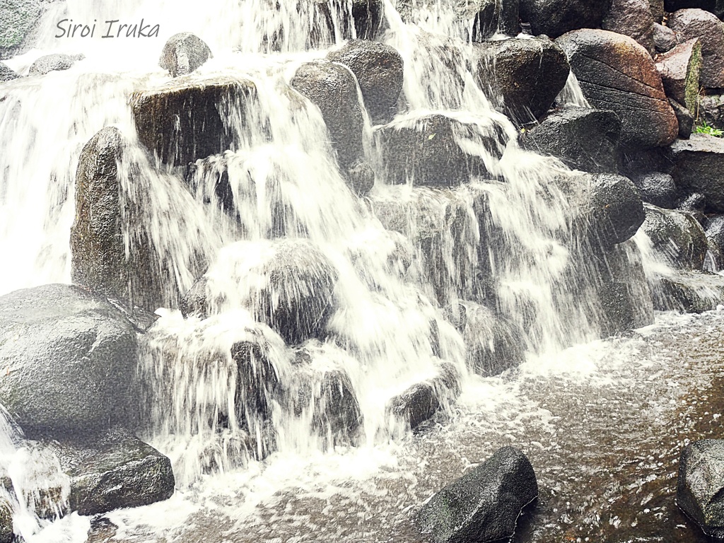 公園の涼し気な滝