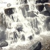公園の涼し気な滝
