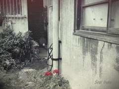 何気ない場所