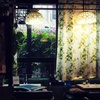 窓の光...｡oо○**○оo｡...（喫茶店　木の実）