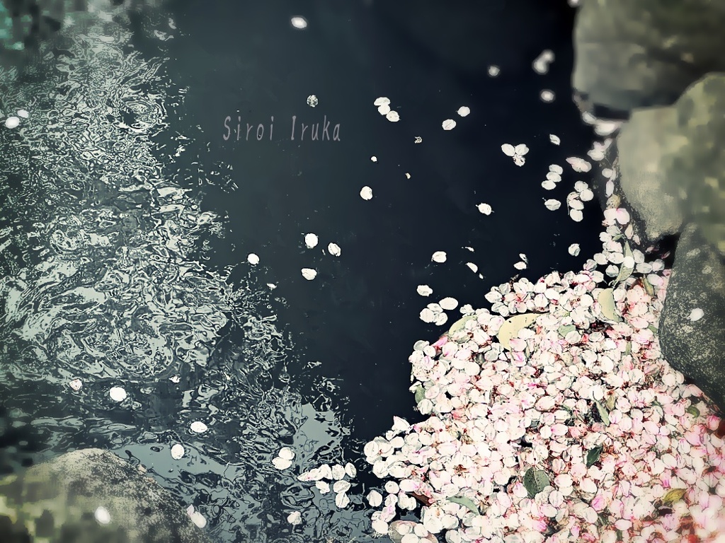 花筏