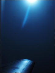 ブルーの太陽