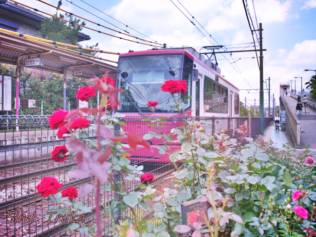 旅気分都電荒川線　3