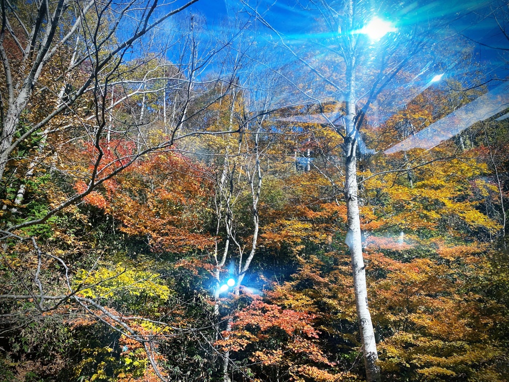 苗場ドラゴンドラ　4