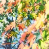 爽やかな1日