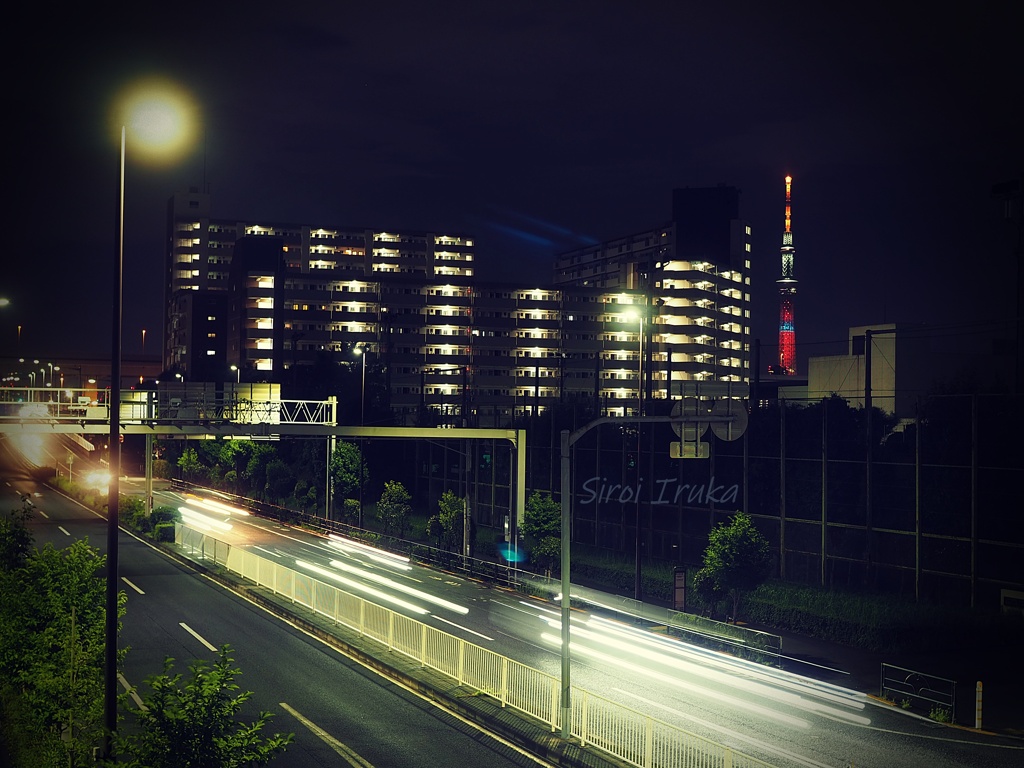 夜散歩