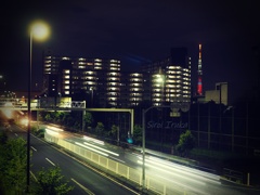 夜散歩