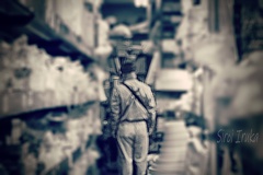 かっぱ橋の主