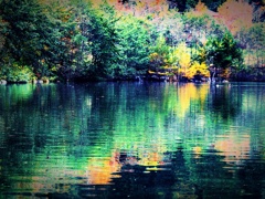 色づく駒ヶ池