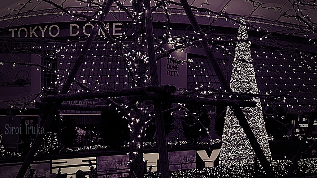 モノクロドーム