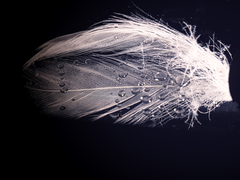 I want to fly