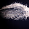 I want to fly