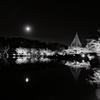 昭和記念公園　8　(白と黒の光)