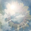 2024　夏の思い出