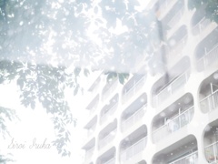 白い雨