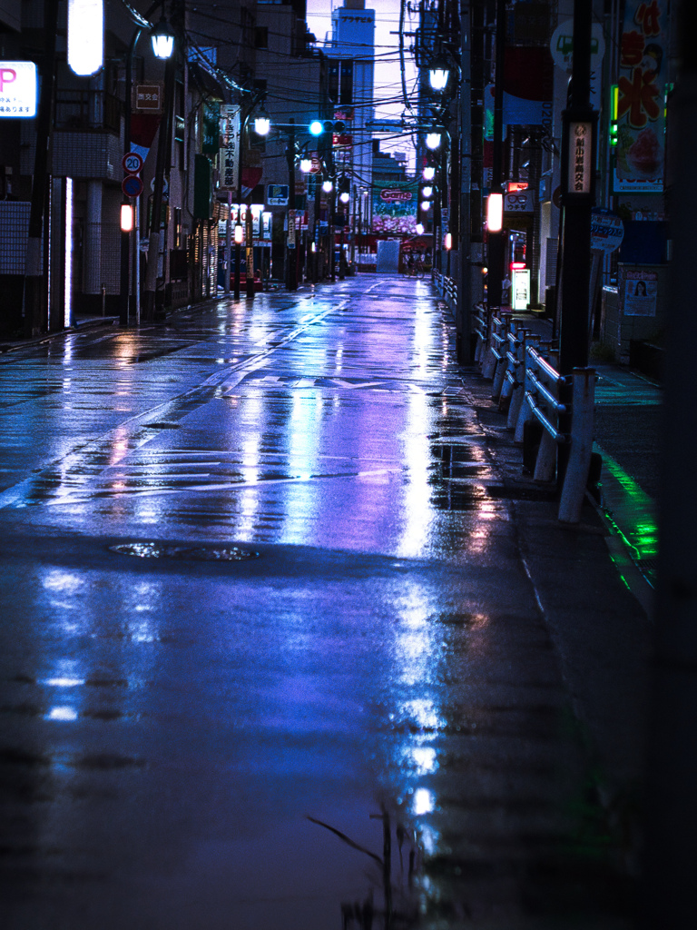 早朝の雨