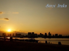 夕暮れのお台場